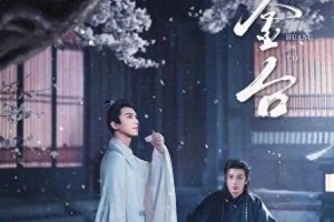 《黄金台》双男主古风短剧：朝堂争斗与深情兄弟情