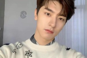 林一国外爆红内娱低调：反差背后的明星之路