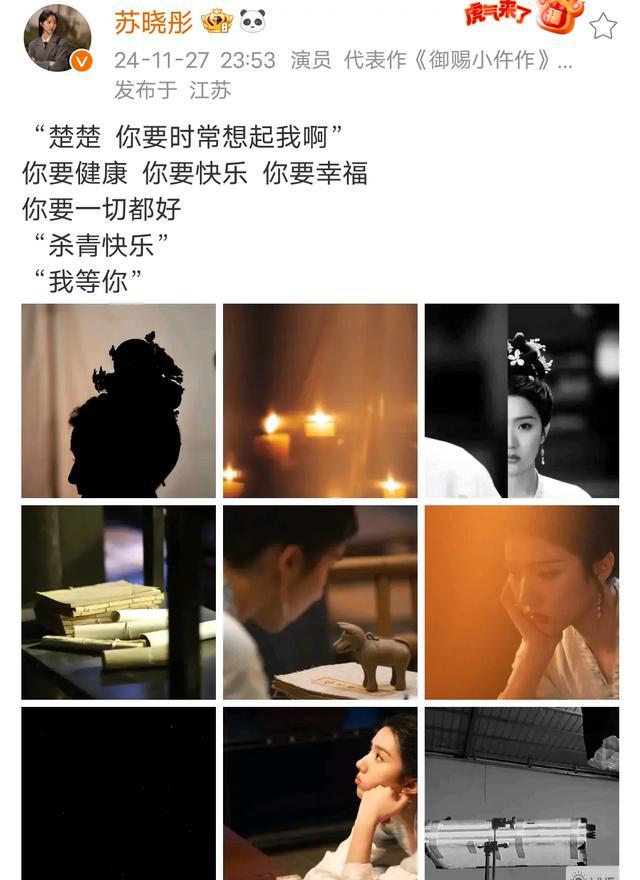 苏晓彤