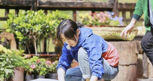 张子枫与赵今麦对比