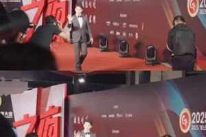 张晚意厅局风红毯爆火：揭秘反油腻人设吸粉300万