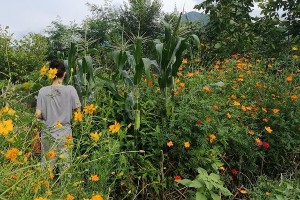 殷桃豪宅与情感揭秘：隐形富豪的奢华生活与坎坷情路