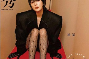精选图片集锦：视觉盛宴一览