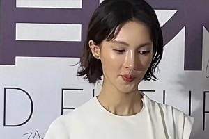 金晨：从舞蹈到演艺圈的科技脸争议与感情史