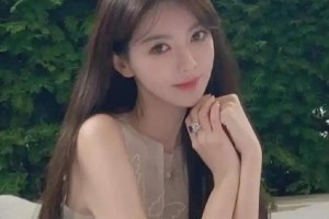 黄晓明杨颖离婚内幕：从模范夫妻到婚姻闹剧