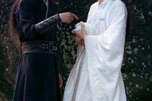 肖战王一博《陈情令》爆红之路与顶流明星成长记