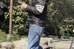 向佐奇装异服引争议：星二代的演艺与公众期待