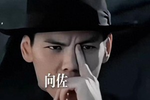 向佐回应医生警告：手势争议引发网友热议